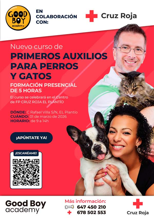 cr cartel baja