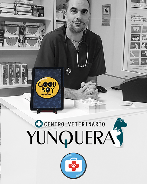 Good Boy Academy Adiestradores Caninos titulados Y Centro veterinario La Yumquera