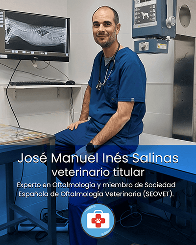 Good Boy Academy Adiestradores Caninos titulados Y Centro veterinario La Yumquera