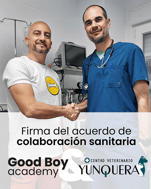 Good Boy Academy Adiestradores Caninos titulados Y Centro veterinario La Yumquera